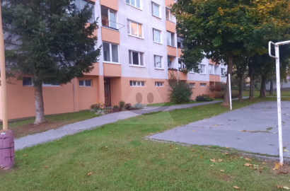 2-room flat for sale, Ilava