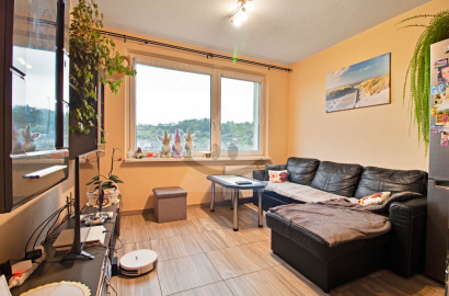 Offer of a sunny 1-bedroom apartment in the popular location of Detvy - Novosady
