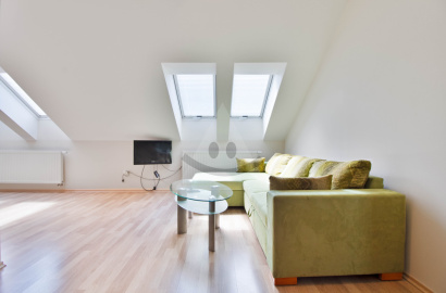 Veľký klimatizovaný apartmán - SLIAČ KÚPELE