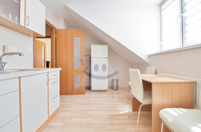 Veľký klimatizovaný apartmán s parkovaním - SLIAČ KÚPELE